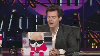 harry styles with absolutely no context