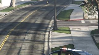 Gta v Michael and police shootout