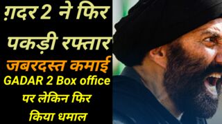 गदर2 ने पकड़ी फिर रफ्तार/gadar 2 ne pakadi raftar/Clection of gadar 2