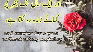 Bichoo 6 din tk apni saans ko rok skta hai #Viral video #information @Kashafbutt