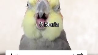 Ô Maria