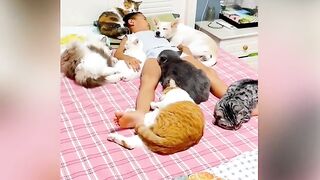???? Funny | Blissful Confusion: Unraveling True Happiness | FunFM
