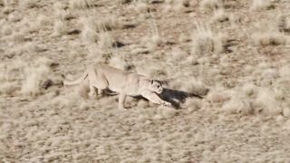 Waooo what a video, never give up, try to fight for your life