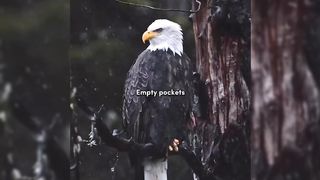 motivation 29