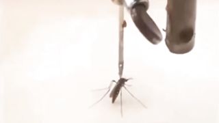 Kya ye Sahi kya is ne ya ni