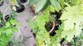 مختلف سوالوں کے جواب