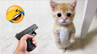 New Funny Animals 2023 Part 1 Funniest Cats and Dogs Videos