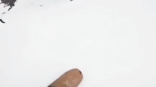 Funny dogs video 2