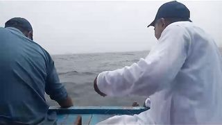 20 august 2023 best fishing video Kemari Karachi Pakistan fishing video report