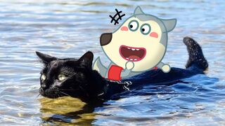 Cats Hate Water Wolfoo In Real Life !! Funniest Cats And Dogs Videos