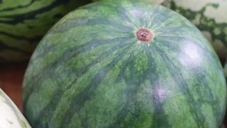 The taste of summer, the thirteen common watermelon reviews on the market# We are serious about eating watermelon