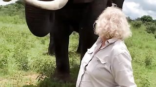 Adorable Elephant Pranks...