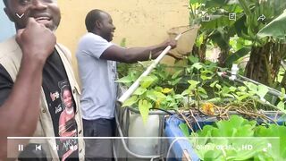 How a mechanical engineer turned his balcony into a fluid money making fish farm (Tilapia)