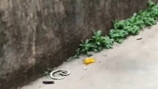 video funny part 3