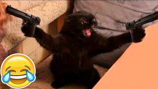 Funny Animals Videos Complication ????????, Try Not to Laugh Challenge #funny #funnyanimals