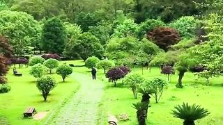 Miracle_of_Nature_|_Nature_photography,_Amazing_nature_photos,_Beautiful_scenery_nature.