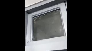Funniest cats videos #30