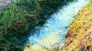 Nature Video | Relaxing Soul | Peaceful View | Amazing Nature