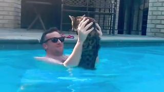 Funny Cat Video - Cat swimming in the pool - Funny Cat 2023