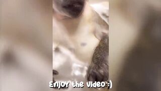 offensive memes that if ylyl v18