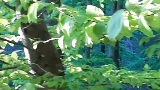 Beautiful nature 85