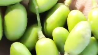Neem Oil