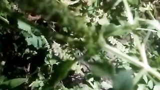 Animal lovers 660