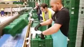 ????‍♂️ Funny | Walk a Mile: Hilarious Escapade of "If_I_was_that_dude__for_sure_I_quit" | FunFM