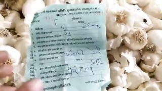 Today Gaelic/Onion mandi rate in india 22 August 2023