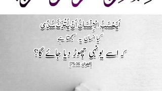 Quran , Al Quran Surah 75 Ayat 36 #viral #shorts #quran #youtubeshorts
