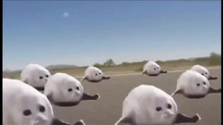 FUNNY VIDEO COMPILATION | YOU LAUGH YOU LOSE | MEME COMPILATION |