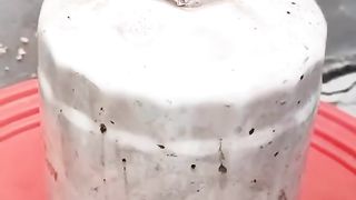 Paint remover solution