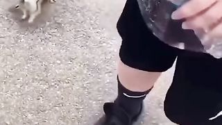 Payase nay  AK gallery ko magney par Kia  mujbor
