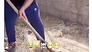 Best Funny Videos 4 2