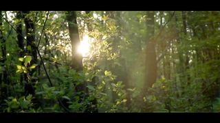 Music for meditation, relaxation and stress relief - Living in the present with calm and balance.