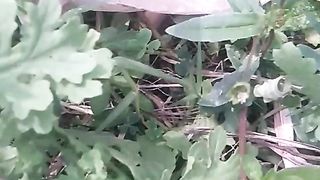 Animal lovers 681