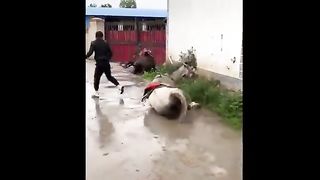 momenti più divertenti dell'anno PT 2