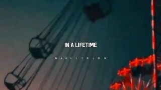 dandilions  aesthetic lyrics