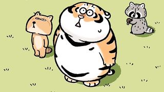 Unbelievable Adventures of a Funny Cartoon Royal Bengal Tiger Roars to Life!