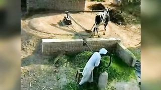 گاؤں میں لوگ کیسے رہتے ہیں۔