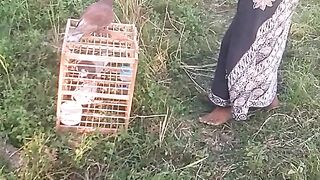 Animal lovers 686