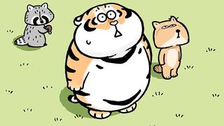 Funny Tiger Cartoon