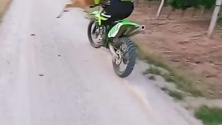 Табарнак из оленины...