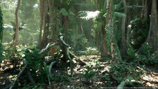 Tropical Rainforest _ Unreal Engine 5.2