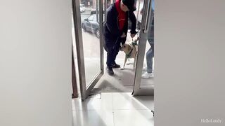 Funny dogs 18
