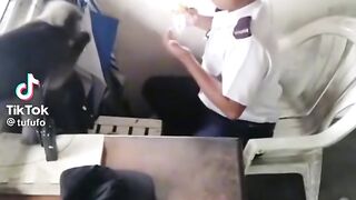 Funny vidéos 24