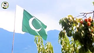 Har  dil  ki awaz  Pakistan  zindabad
