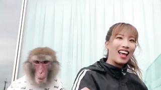 funny monkey memes