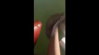 ???? It's To LAUGH When Watching This Video Of The FUNNIEST CATS On Earth ???? - Funny Cats Life 5