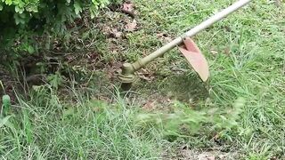 Grass cutting
